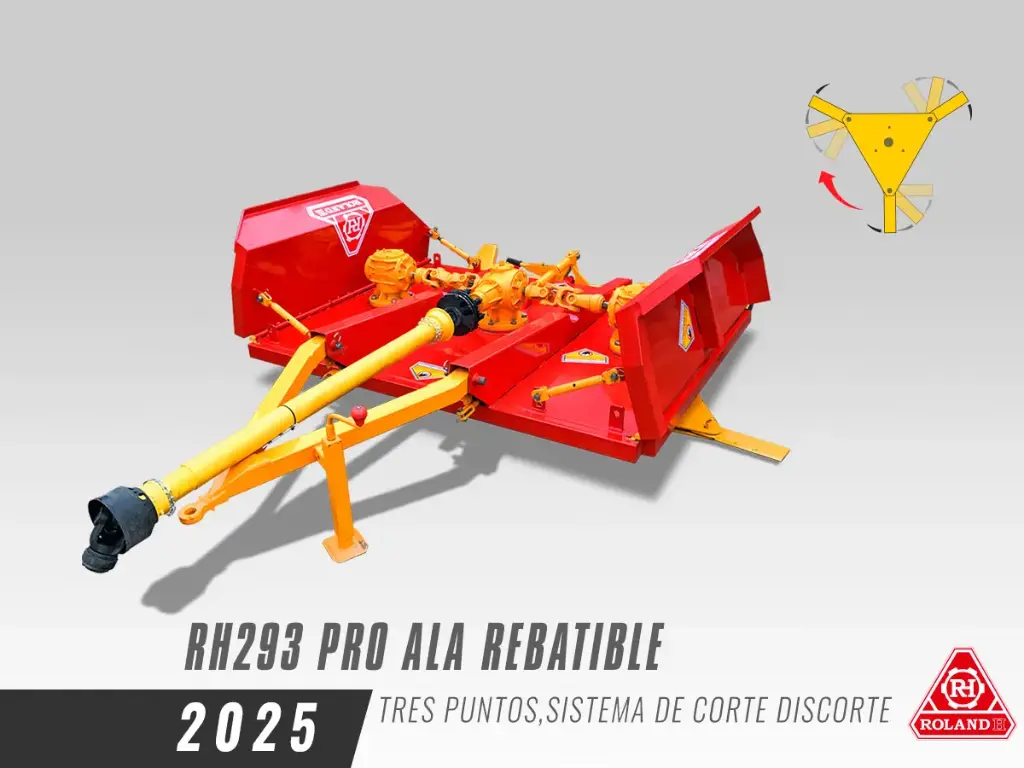 RH293-6 